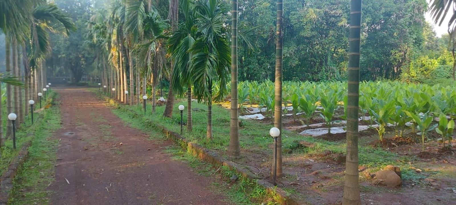 Red Roof Farmhouse Villa Chiplun Ngoại thất bức ảnh